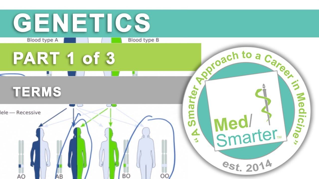 USMLE Step 1 | Genetics: Terms | MedSmarter | Part 1 of 3 смотреть онлайн