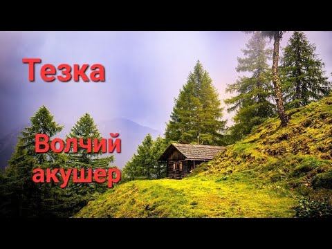 Добрые истории. Тезка. Волчий акушер смотреть онлайн