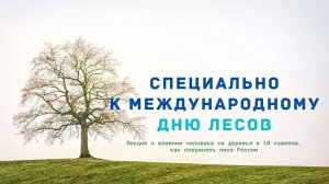 Ко дню леса