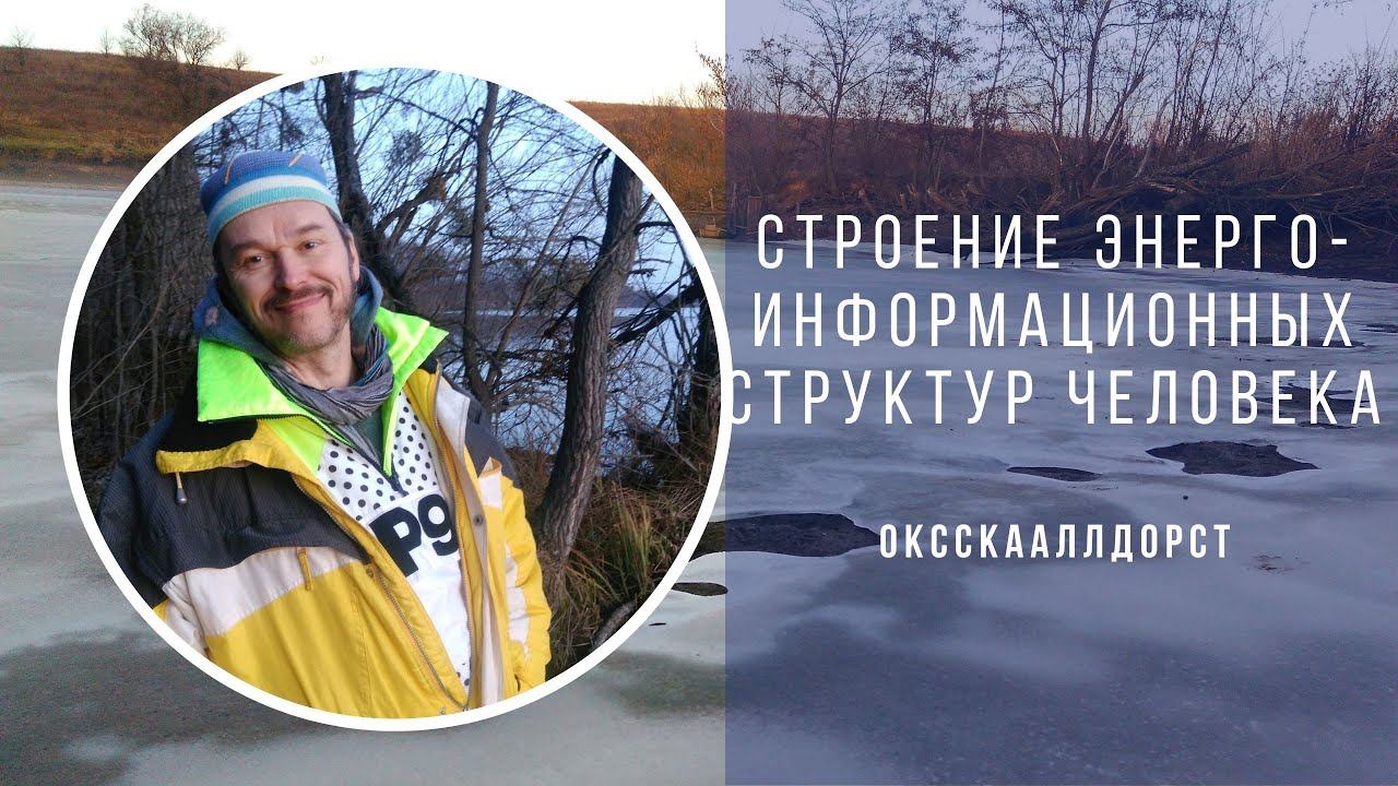 Строение энергоинформационных структур человека смотреть онлайн