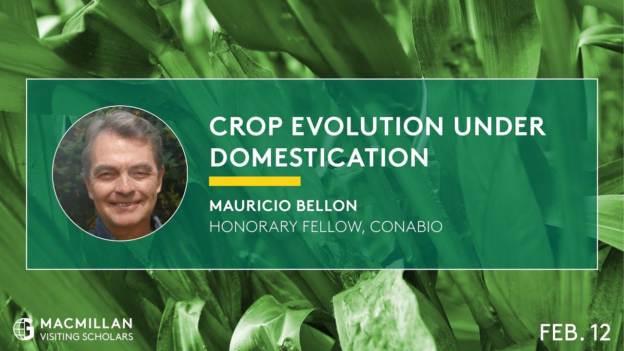 Mauricio Bellon: Crop Evolution Under Domestication смотреть онлайн