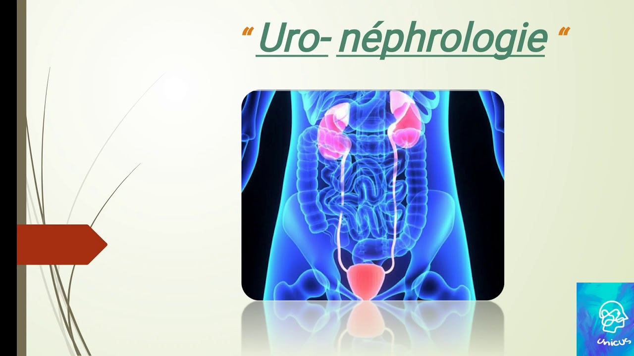 uro-nephrologie смотреть онлайн