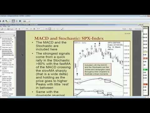 Aug 7th Trade What You See with host Basil Chapman on TFNN 2013 смотреть онлайн