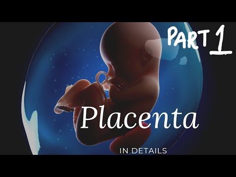 Placenta part 1 | OBGYN Series |Obstetrics lecture смотреть онлайн