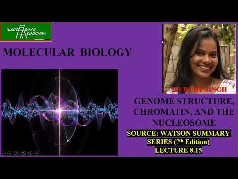 GENOME STRUCTURE, CHROMATIN, AND THE NUCLEOSOME (Chap 8) #lec 15#Techniques смотреть онлайн