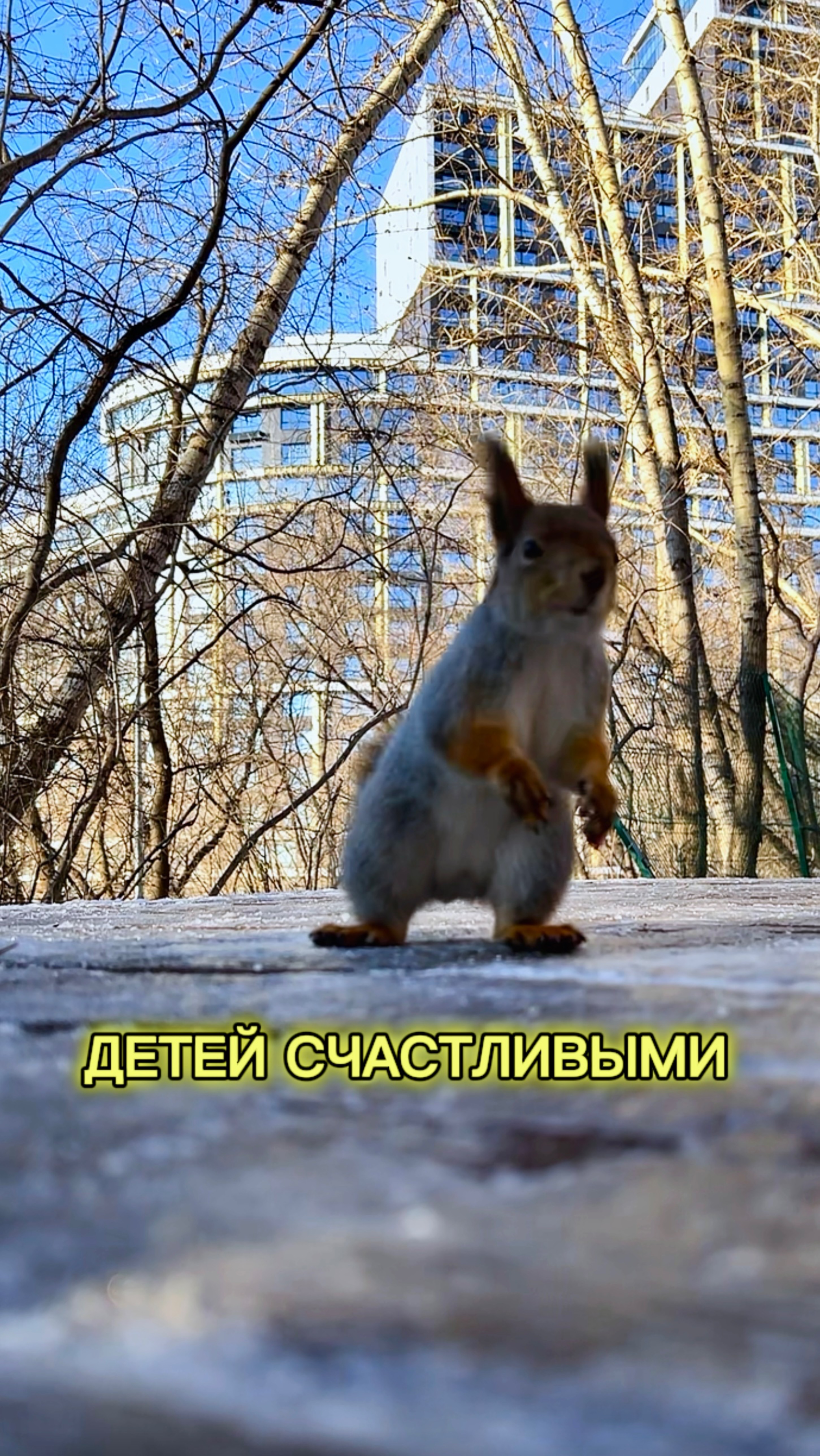 ДЕТЕЙ БЫТЬ СЧАСТЛИВЫМИ