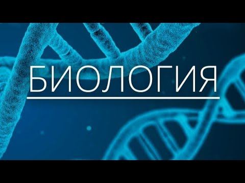 биология тест талдау 2 смотреть онлайн