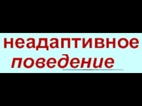 Чем компенсируется неадаптивность личности? смотреть онлайн