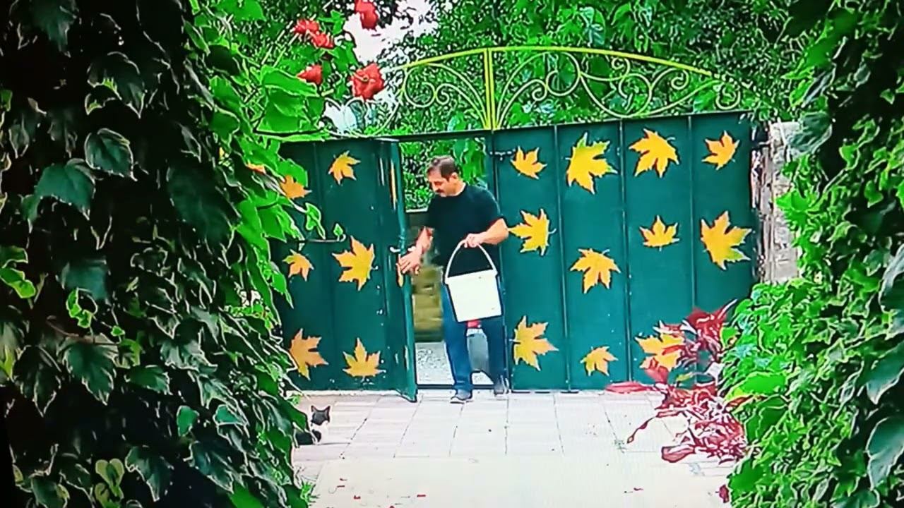 Рассказ. ЖЕНИХ.М.Зощенко.читает Светлана смотреть онлайн