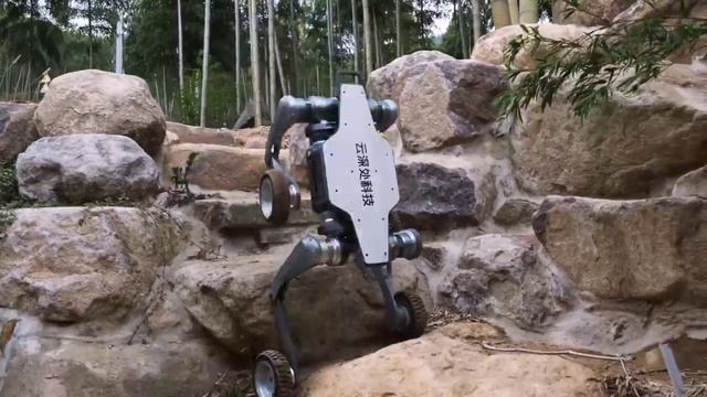 rapidsave_com_chinese_company_deep_robotics_announced_their_new смотреть онлайн