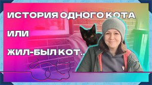 О том, как к нам на даче пришел котик и остался с нами жить