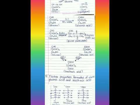 BIOMOLECULES | ALL STRUCTURES AND FORMULAS |CHEMISTRY Class 12 New syllabus 2020 | смотреть онлайн