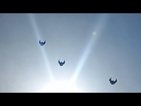 Голуби СВГ 29.04.2024. Северный ветер, сами подпрыгнули с мачты. смотреть онлайн