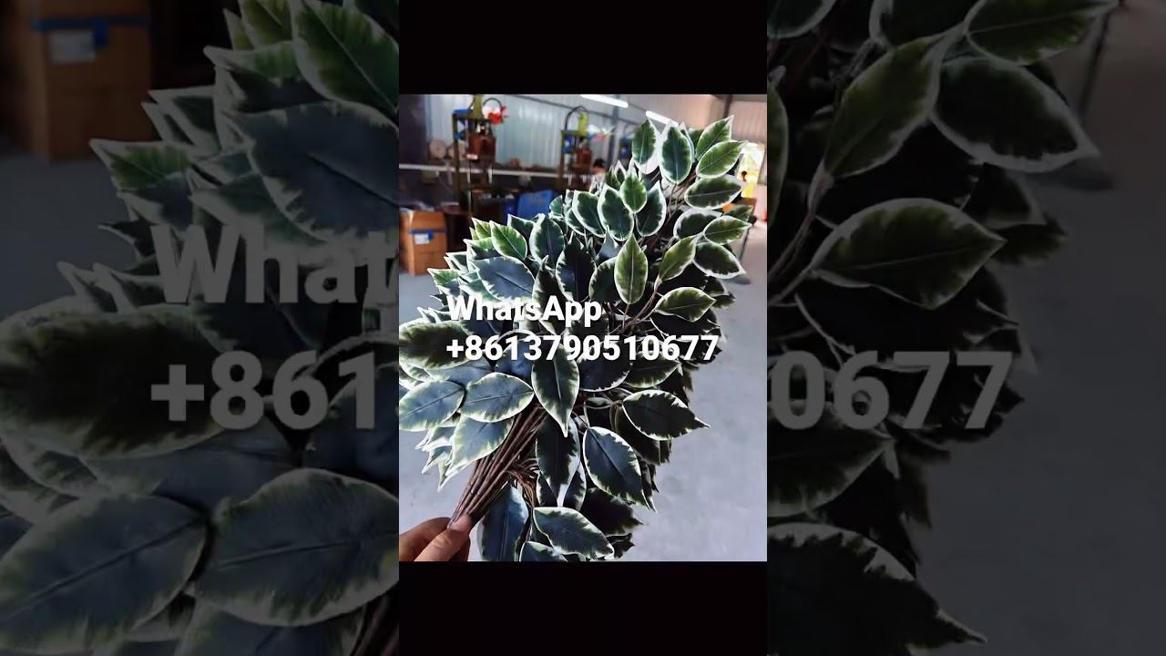 China factory direct sales, artificial simulation of a variety of green plants, смотреть онлайн