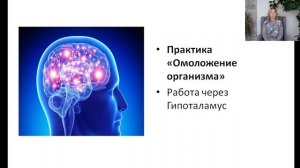 Омоложение организма через гипоталамус