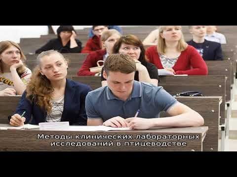 Рыбинский сельскохозяйственный техникум смотреть онлайн