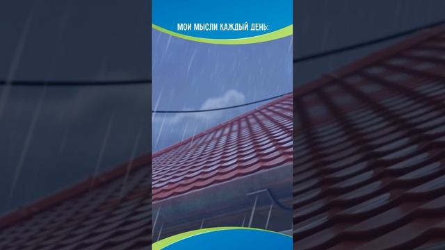 Ставь лайк, чтоб спасти Чука😱 #мусячукистанислав смотреть онлайн