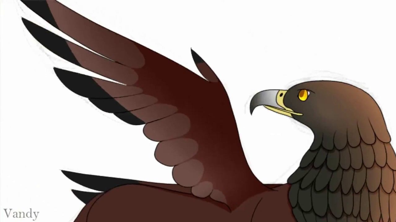 Creative Griffin Contest Speedpaint смотреть онлайн