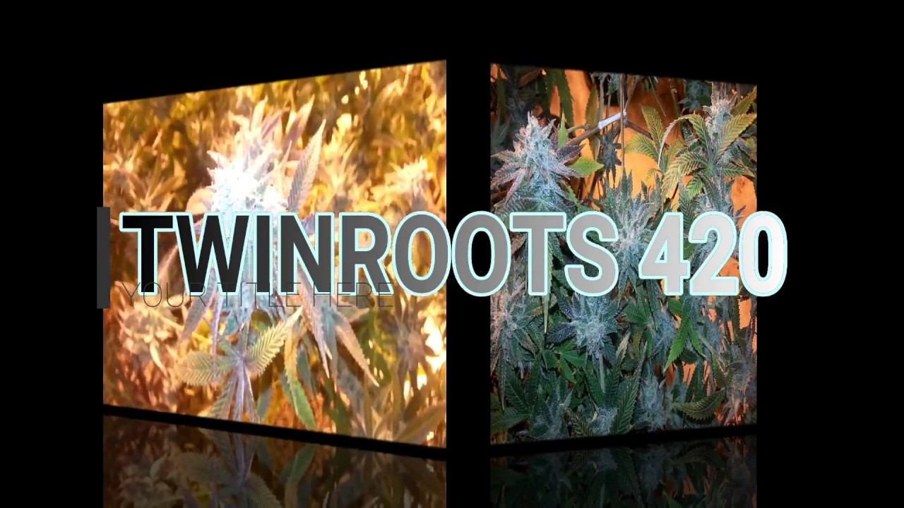 4000 watt growroom update... смотреть онлайн