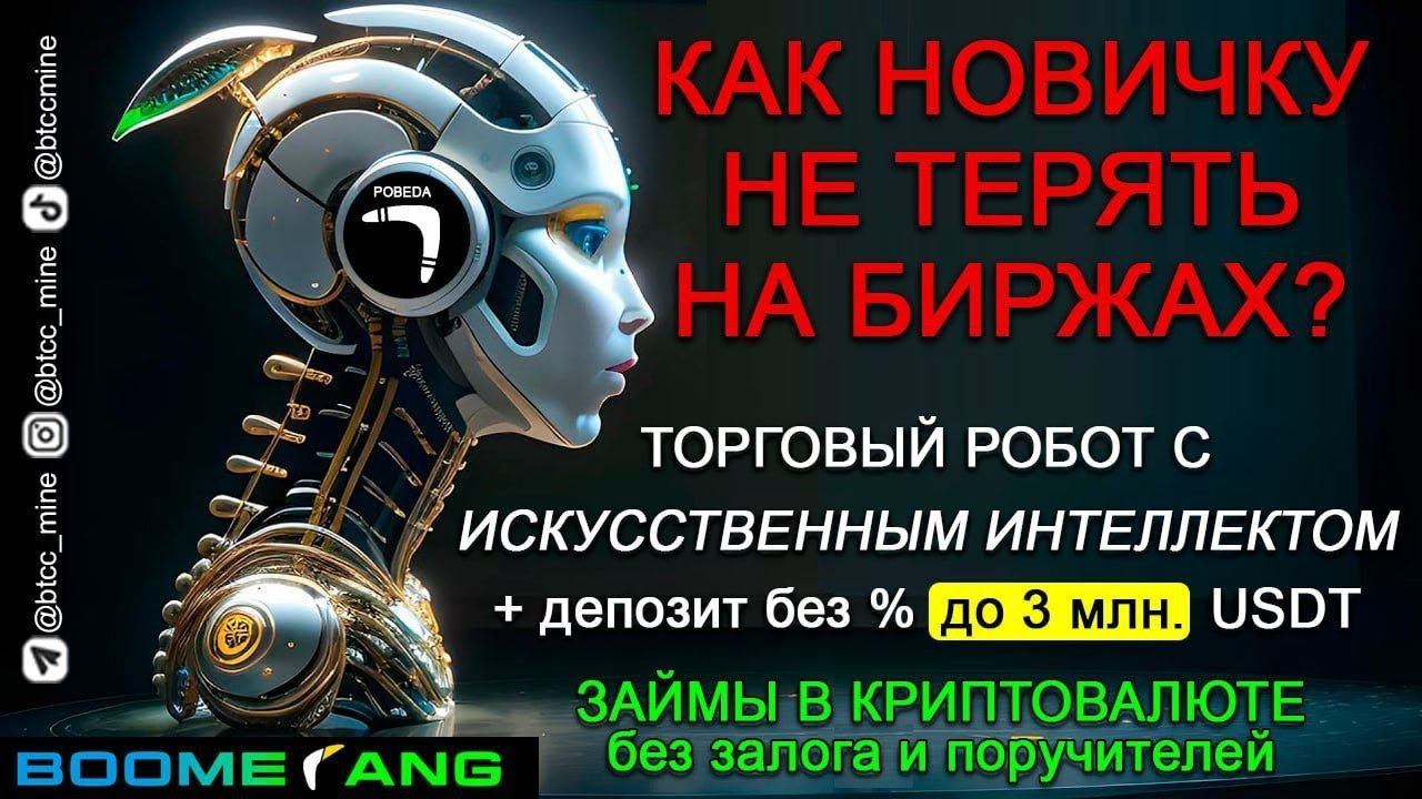 WAAS Boomerang презентация 03.03.2024 смотреть онлайн
