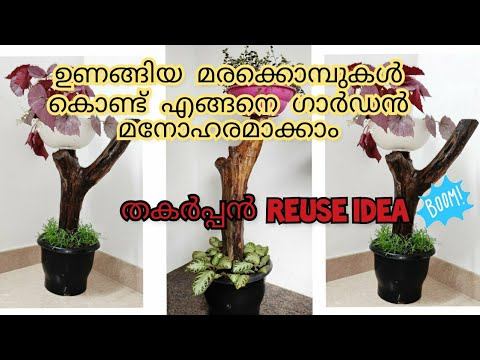 A new life to dead trees in your garden | Tree branch garden ideas | Dead trees with LIVE plants. смотреть онлайн