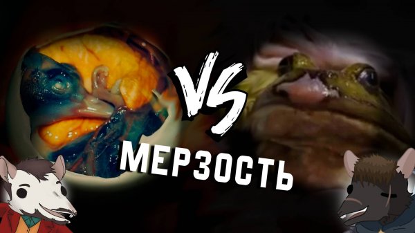 Оцениваем самые мерзкие блюда мира.