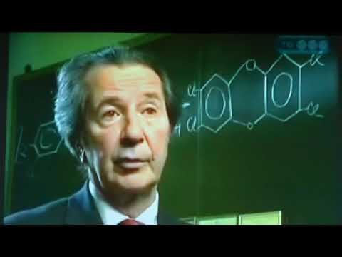 прага 29,10,2017 комнатная экология часть 2 смотреть онлайн