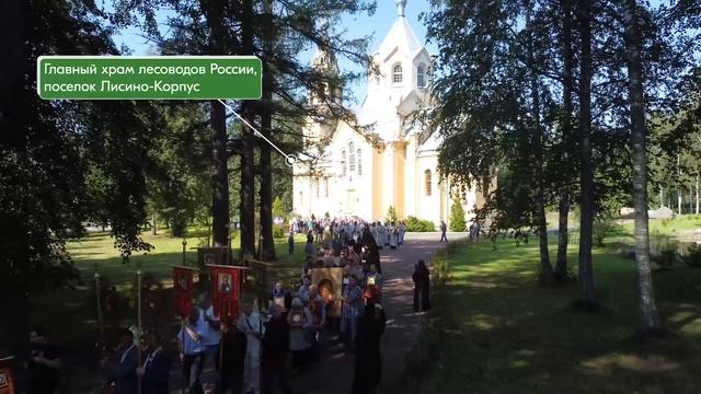Трейлер фильма Корень лесной науки смотреть онлайн