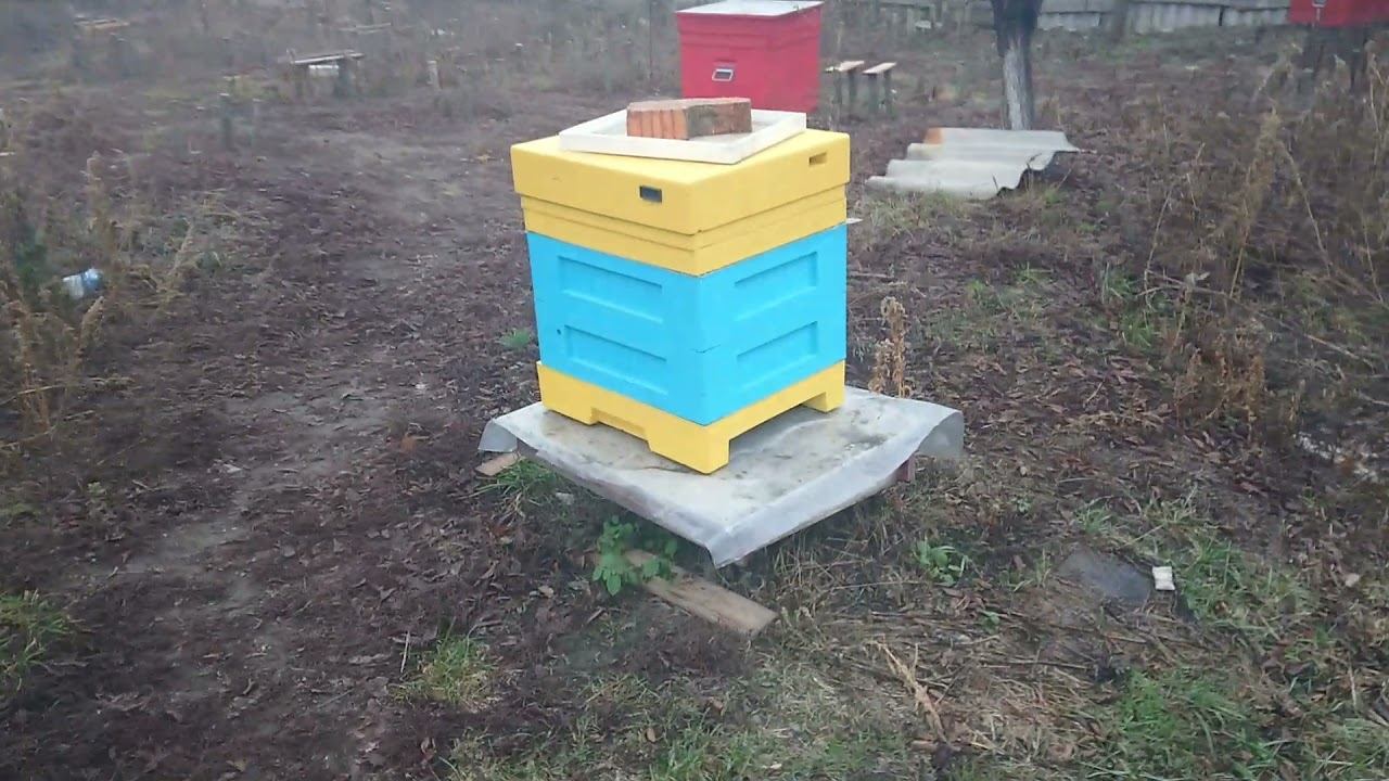Зимовка 2021/2022. Масштабный эксперимент по зимовке пчёл. смотреть онлайн
