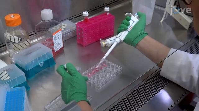 Total Reactive Oxygen Species Detection смотреть онлайн