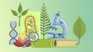 Урок биологии 5 класс. Грибы - паразиты.