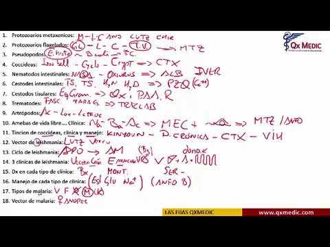 INFECTOLOGÍA смотреть онлайн