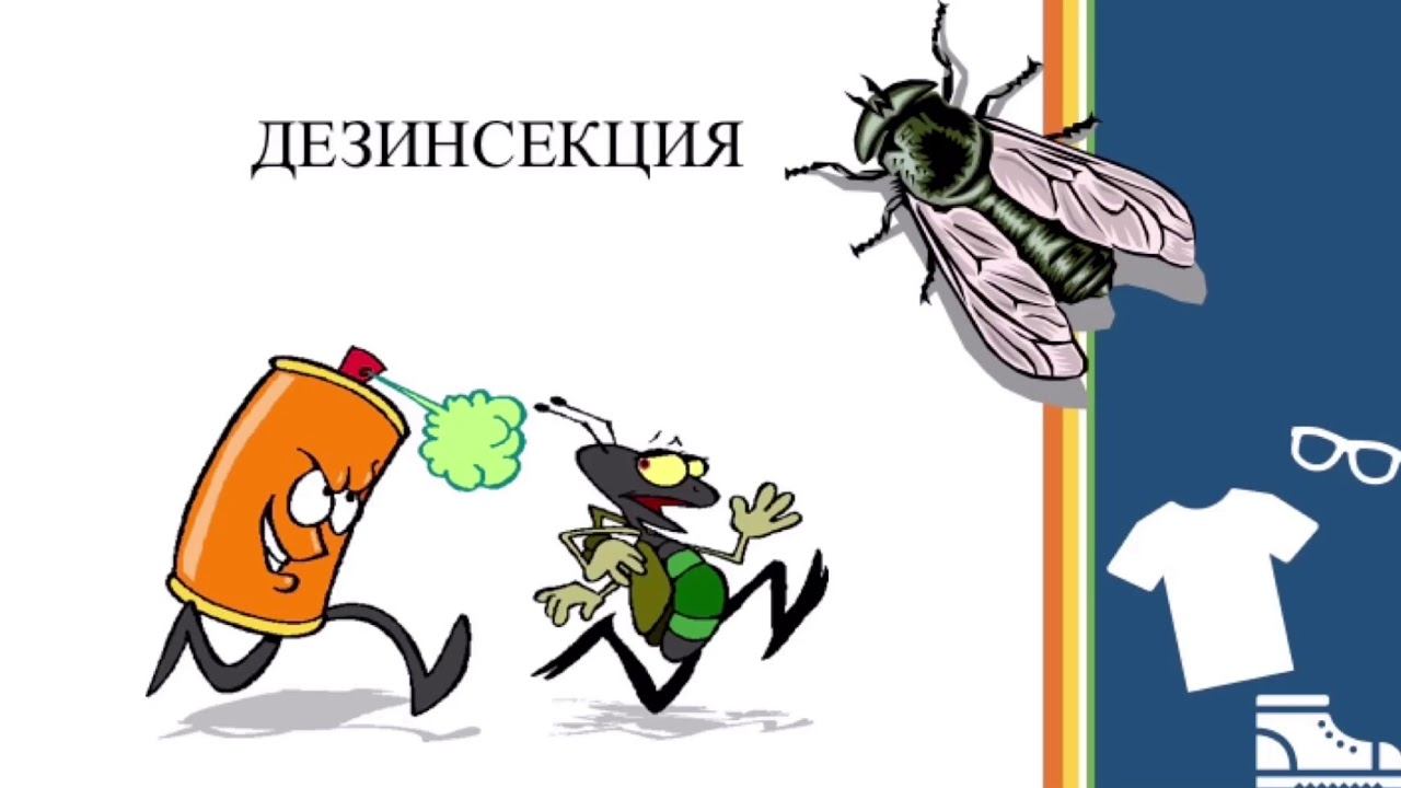 Эко-Будущее