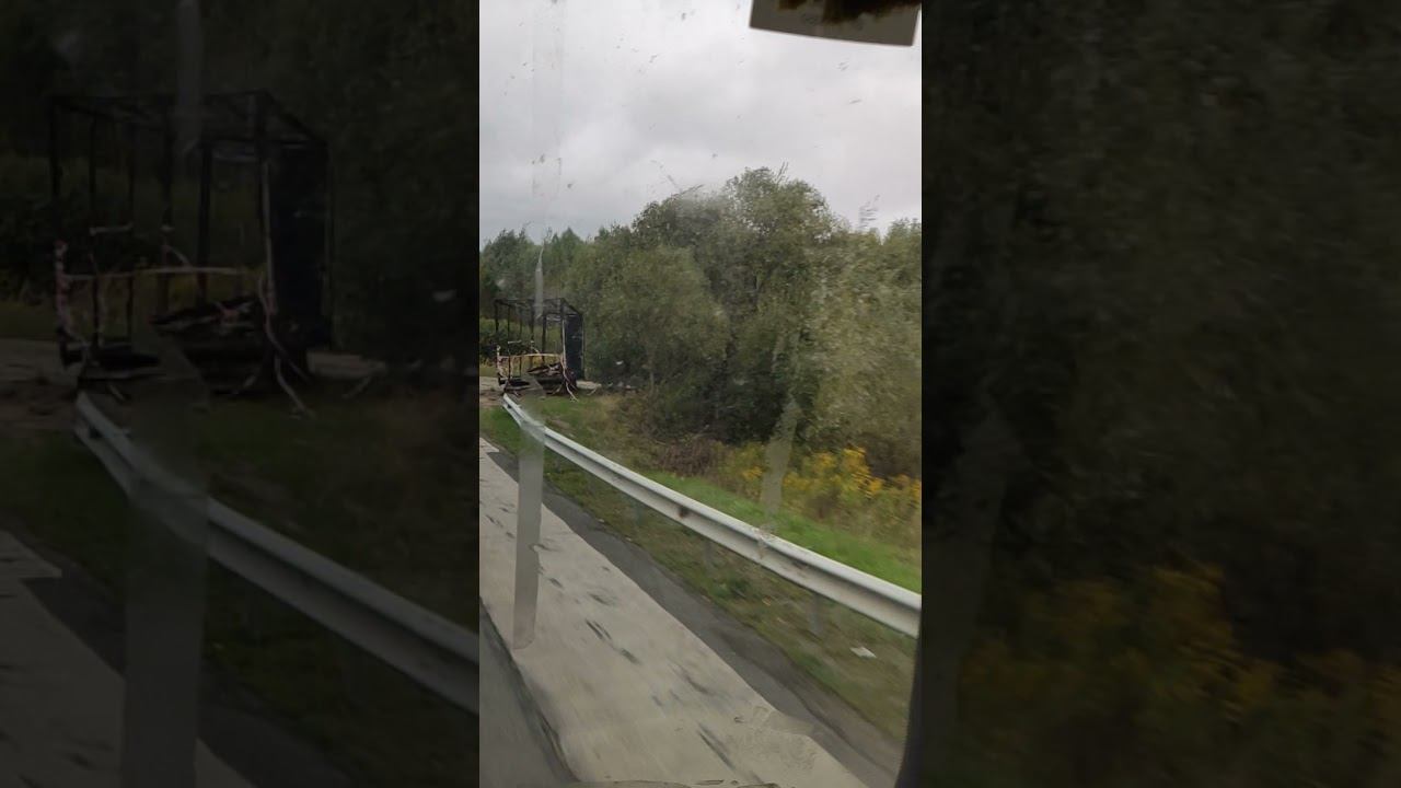 ТРАХТОР ПОДПИШИСЯ ПО БРАЦКИ...#сказки #scar #картытаро #транспорт #машинки #жигули #литвинчеллендж смотреть онлайн