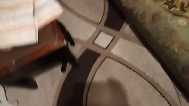 Муся подросла