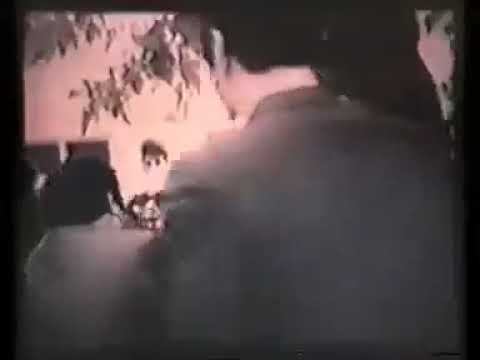 Тауфикъ Есенч - последний знаток убыхского языка смотреть онлайн