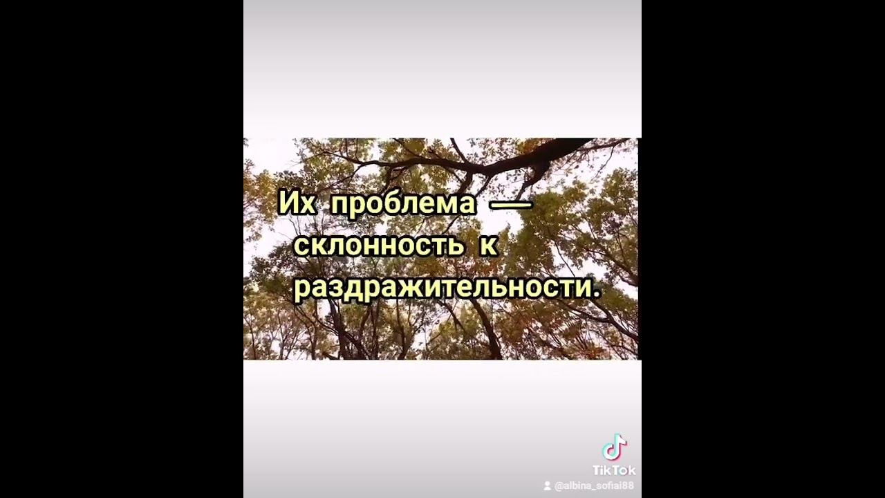 как месяц рождения влияет на человека #врек#месяц #нумерология #осень смотреть онлайн