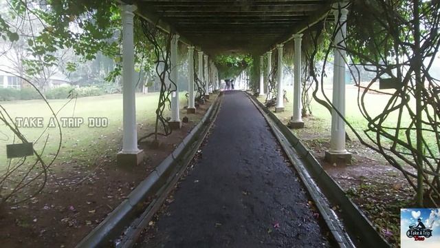 Royal Botanical Garden, Kandy, Sri Lanka 🇱🇰 || 4500 से ज्यादा plant species ईधर है || #takeatripduo смотреть онлайн
