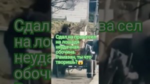 12000000лямов. просмотров. рамазан, ты где