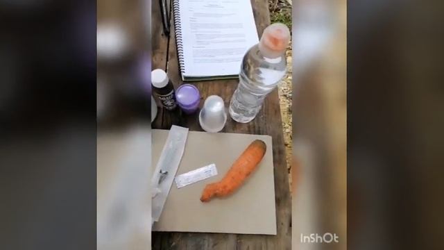 Metabolismo del peróxido de hidrógeno смотреть онлайн