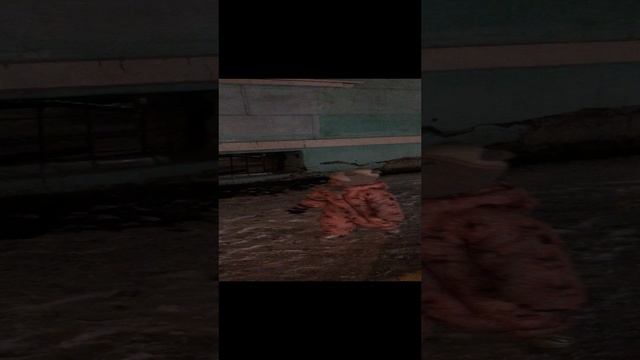 IMG_4093 смотреть онлайн