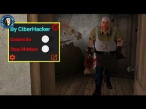 Прохождение мистера мита с дополнением от кибер хакера