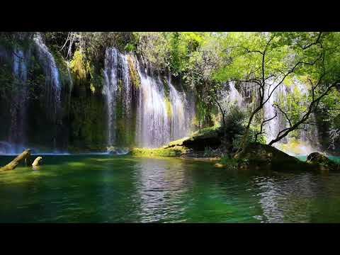 Eternal Garden - Escape To Your Secret Eden | Heart Chakra 594 Hz | Cosmic Music Healing Meditation