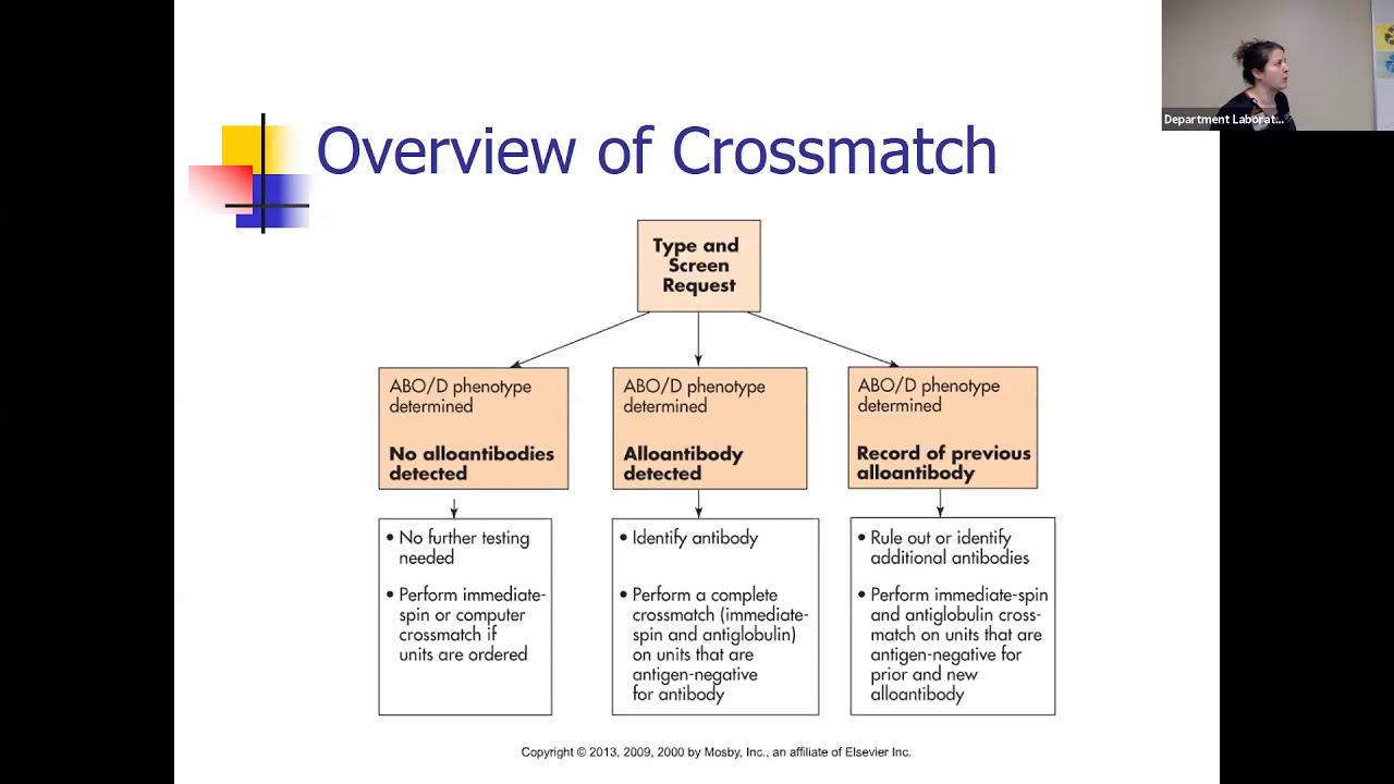 BloodBank Lecture 19, Part 2 2020 смотреть онлайн