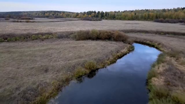 Тартинский пруд смотреть онлайн
