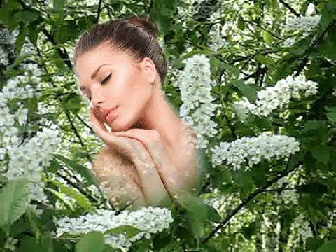 НО ПРОШУ Я ЧЕРЕМУХУ Монтаж Валентины Зубковой смотреть онлайн
