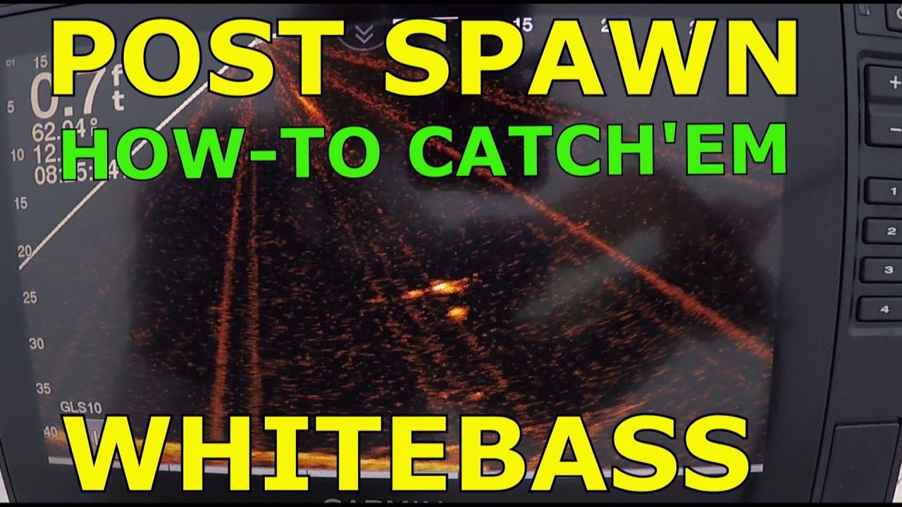 Post Spawn White Bass, How to Catch Them, Stillhouse Hollow April 2020 смотреть онлайн