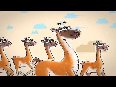 ANIMALES NATIVOS DE CHILE смотреть онлайн