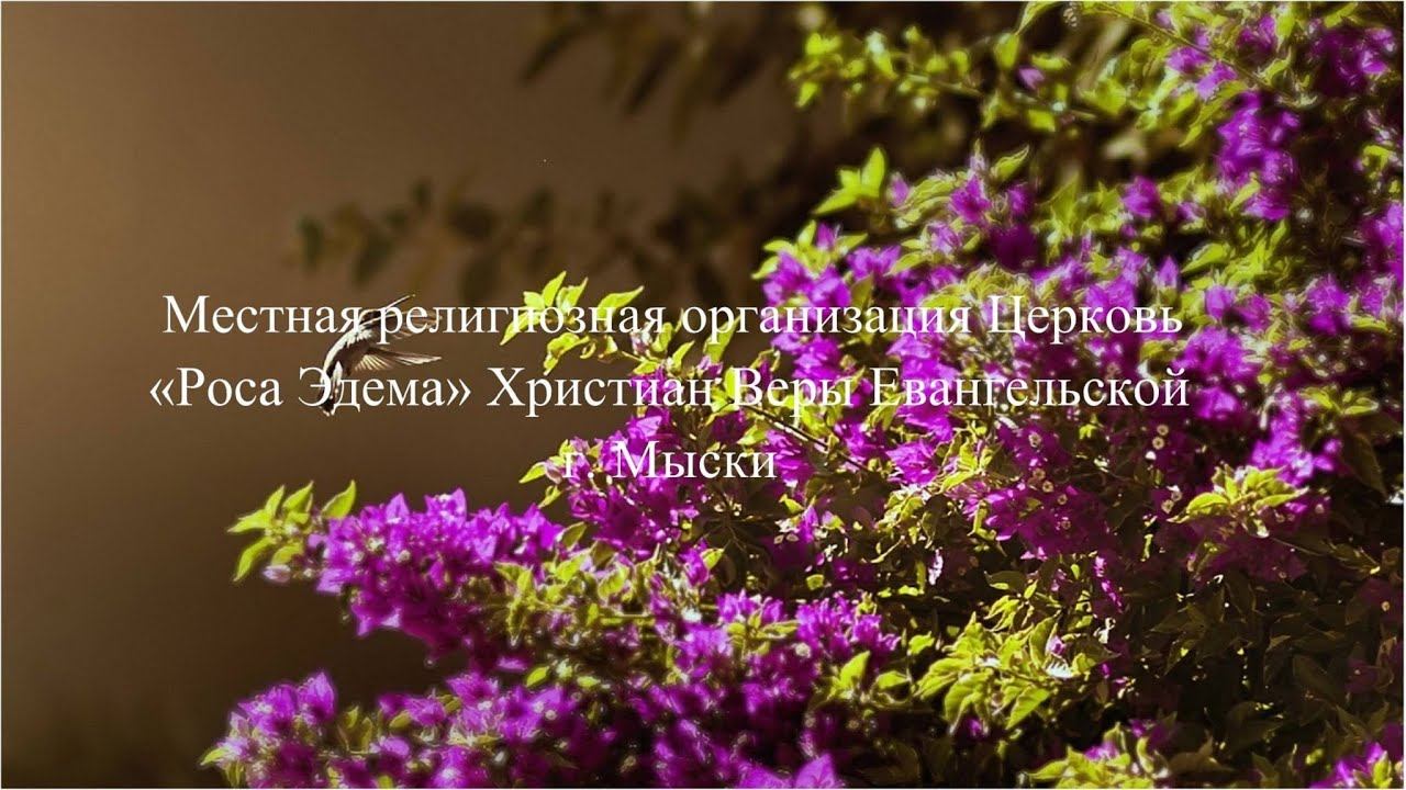 Следуй за Мной. смотреть онлайн