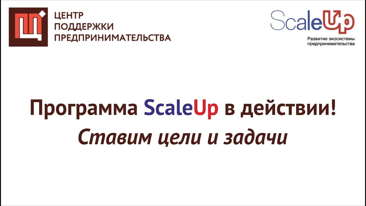Программа ScaleUp в действии! Ставим цели и задачи. смотреть онлайн